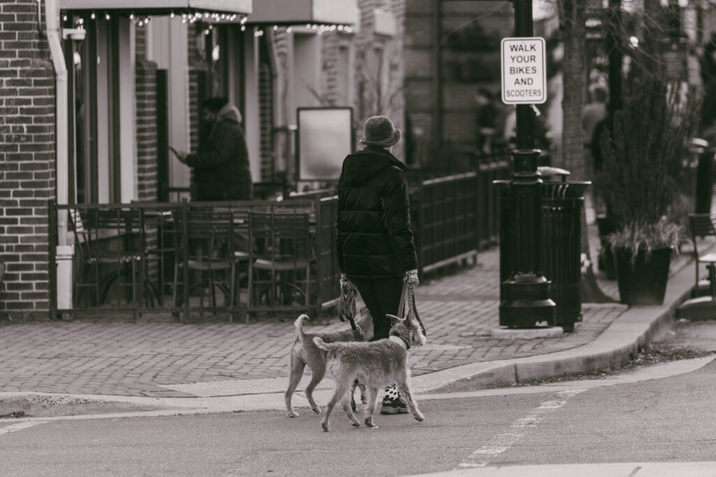 OldTownP (1 of 1)-20